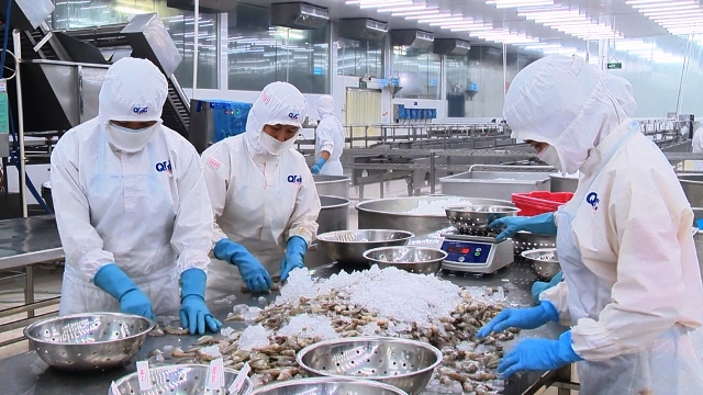 Tháo gỡ vướng mắc trong việc áp thuế đối với thủy sản chế biến và sơ chế